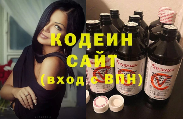 гашик Арсеньев