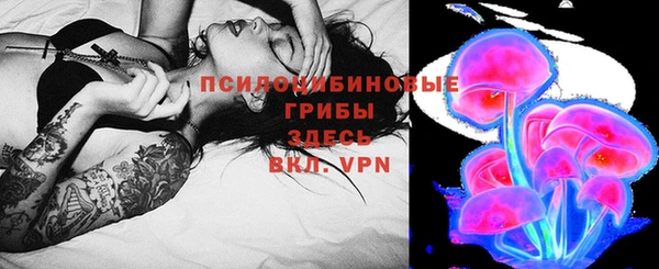 гашик Арсеньев