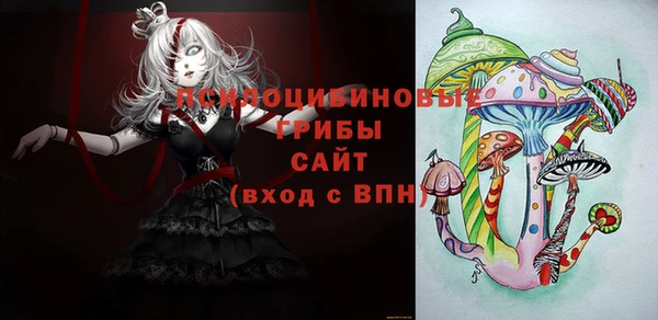 гашик Арсеньев