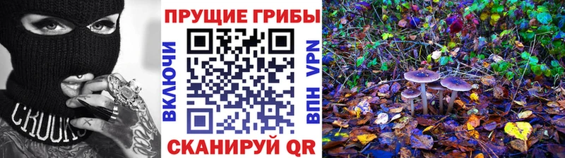 Псилоцибиновые грибы мицелий  Свирск 
